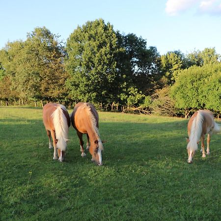 Les Grands Frenes Plaine-de-Walsch Exterior foto